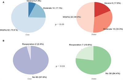 Impact of Cone vs. Hetzer Repair on Postoperative Outcomes in Patients With Ebstein's Anomaly: 10-Year Experience From a Single Institution